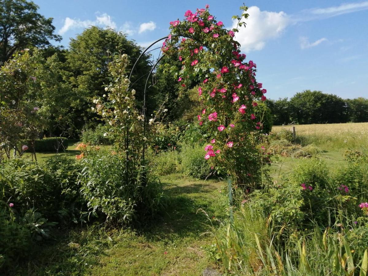 Les Berges De La Planchette Bed & Breakfast Yvignac-la-Tour Dış mekan fotoğraf